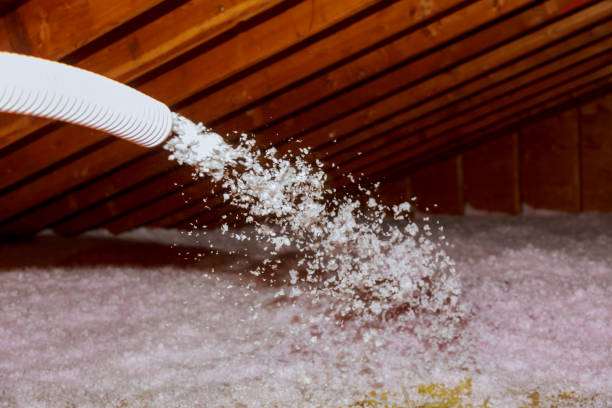 Best Energy Efficiency Insulation in Newark, CA