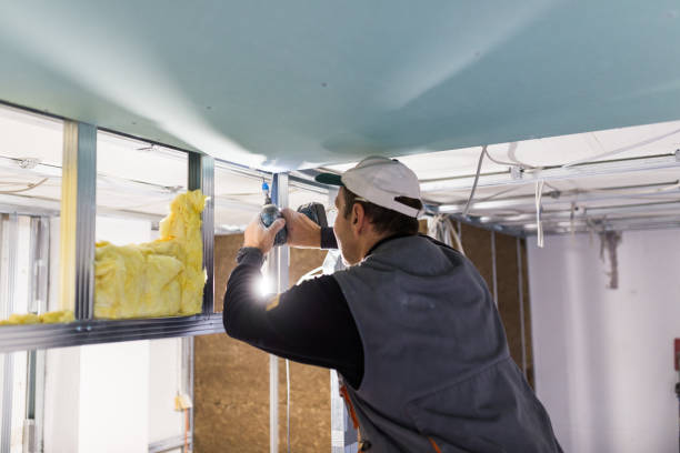 Best Geographic-Specific Insulation Services in Newark, CA