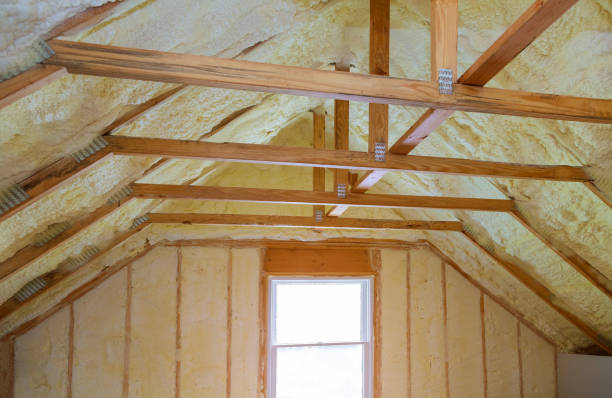 Best Specialized Insulation Services in Newark, CA