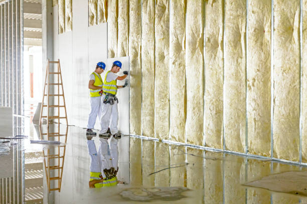 Best Insulation Maintenance and Repair in Newark, CA
